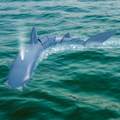 Sharko RC